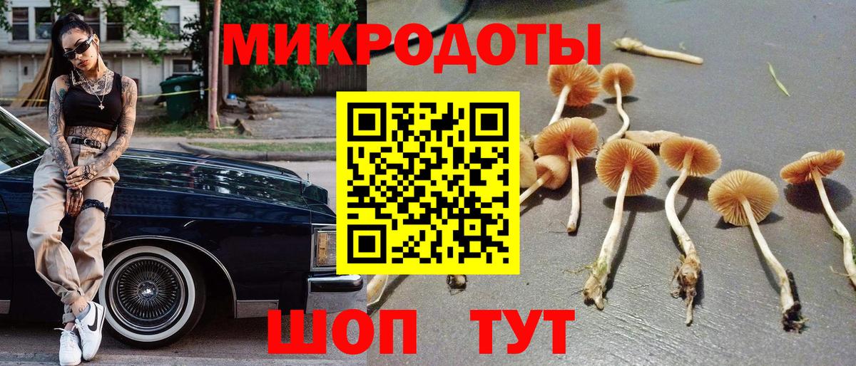 Псилоцибиновые грибы Psilocybe Подольск