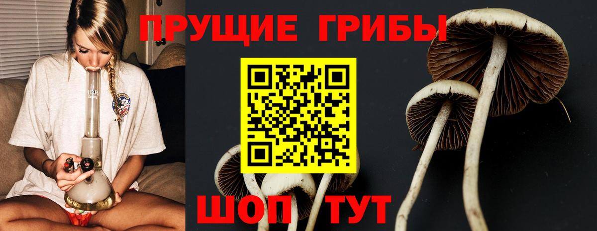 Подольск  Галлюциногенные грибы мицелий  Вход с VPN 